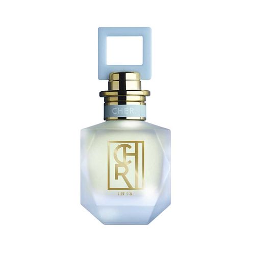 IRIS EDP