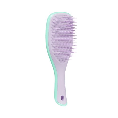 WET DETANGLER HAIR BRUSH