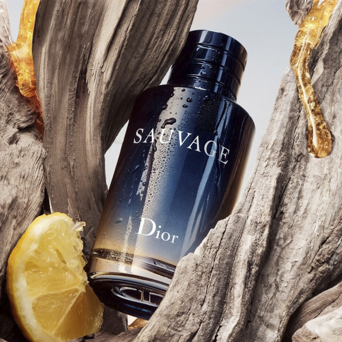 Sauvage best sale dior descripcion