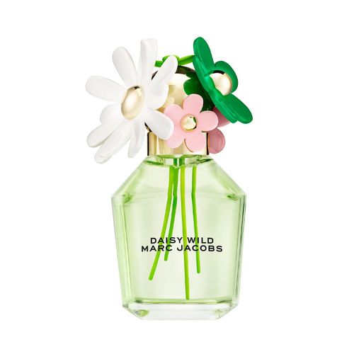 DAISY WILD EDP