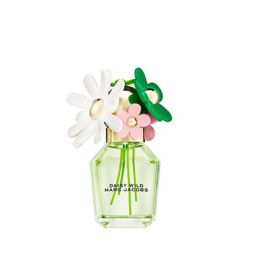 DAISY WILD EDP