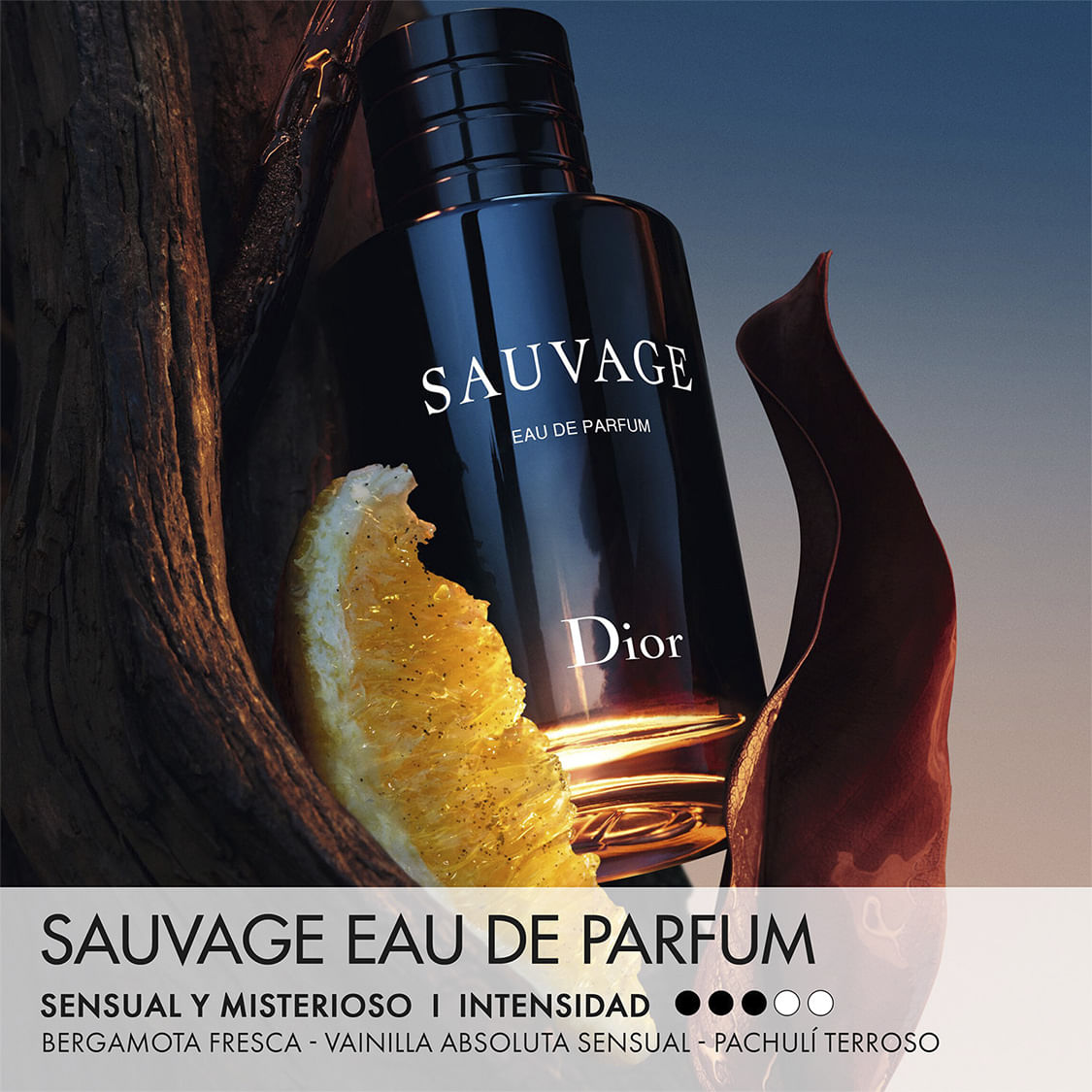 3348901428545_2.jpg?v=