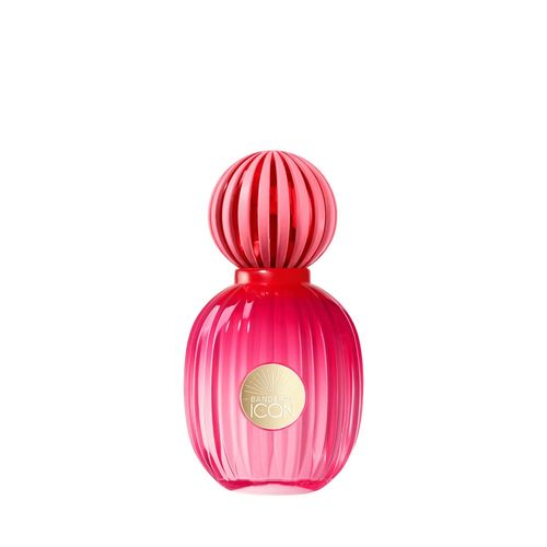 THE ICON FEM EDP