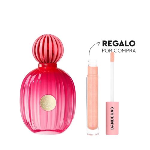 THE ICON FEM EDP