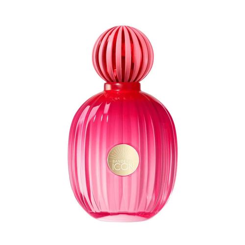 THE ICON FEM EDP